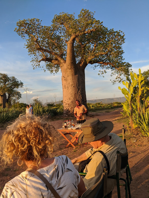 Sundowner next to the Baobab tree